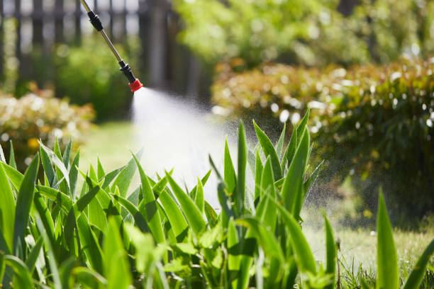 24/7 Emergency Wasp Removal experts in Memphis, MI