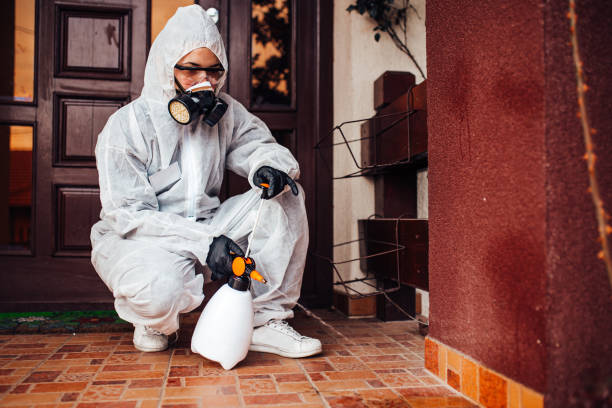 Reliable Wasp Removal contractor in Memphis, MI by Show Me Pest Control